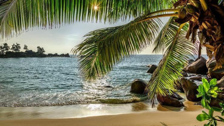 Baga Beach Prime Exterior photo